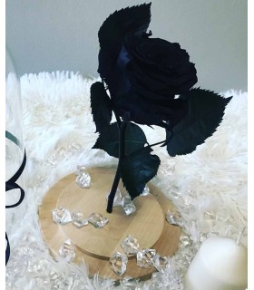 Trandafir Criogenat Negru Cupola Sticla